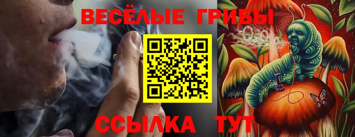 Кушва  Галлюциногенные грибы ЛСД  Вход с VPN  Псилоцибиновые грибы мицелий 